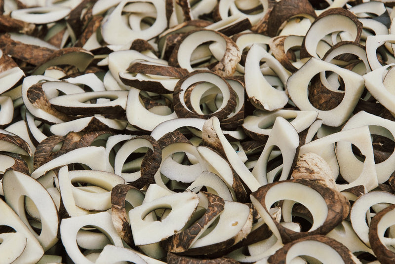 A pile of used corozo nuts with holes where buttons have been carved